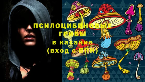 spice Алексеевка