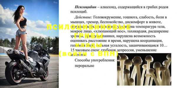 a pvp Алзамай