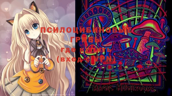spice Алексеевка